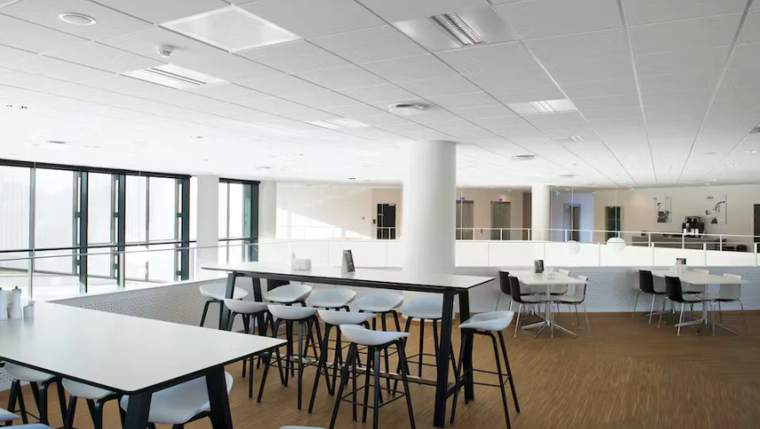 Why Choose Zentia Ceiling Tiles for Your Next Project?