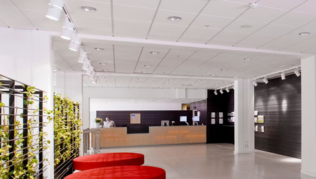 The Versatility of Rockfon Ceiling Tiles: Perfect for Every Space