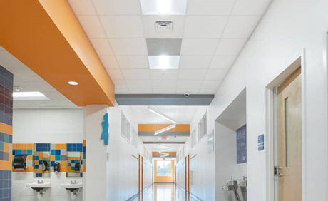 Enhancing Spaces with Acoustic Ceiling Tiles