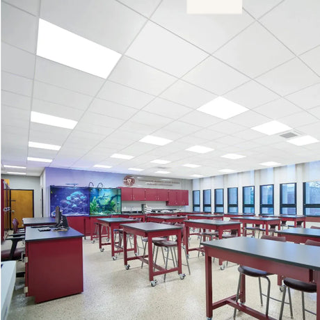 Ceiling Tiles for Educational Spaces: Enhancing Learning Environments