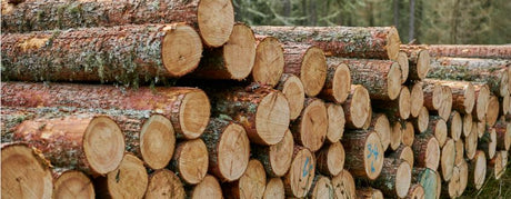 5 Facts on Timber
