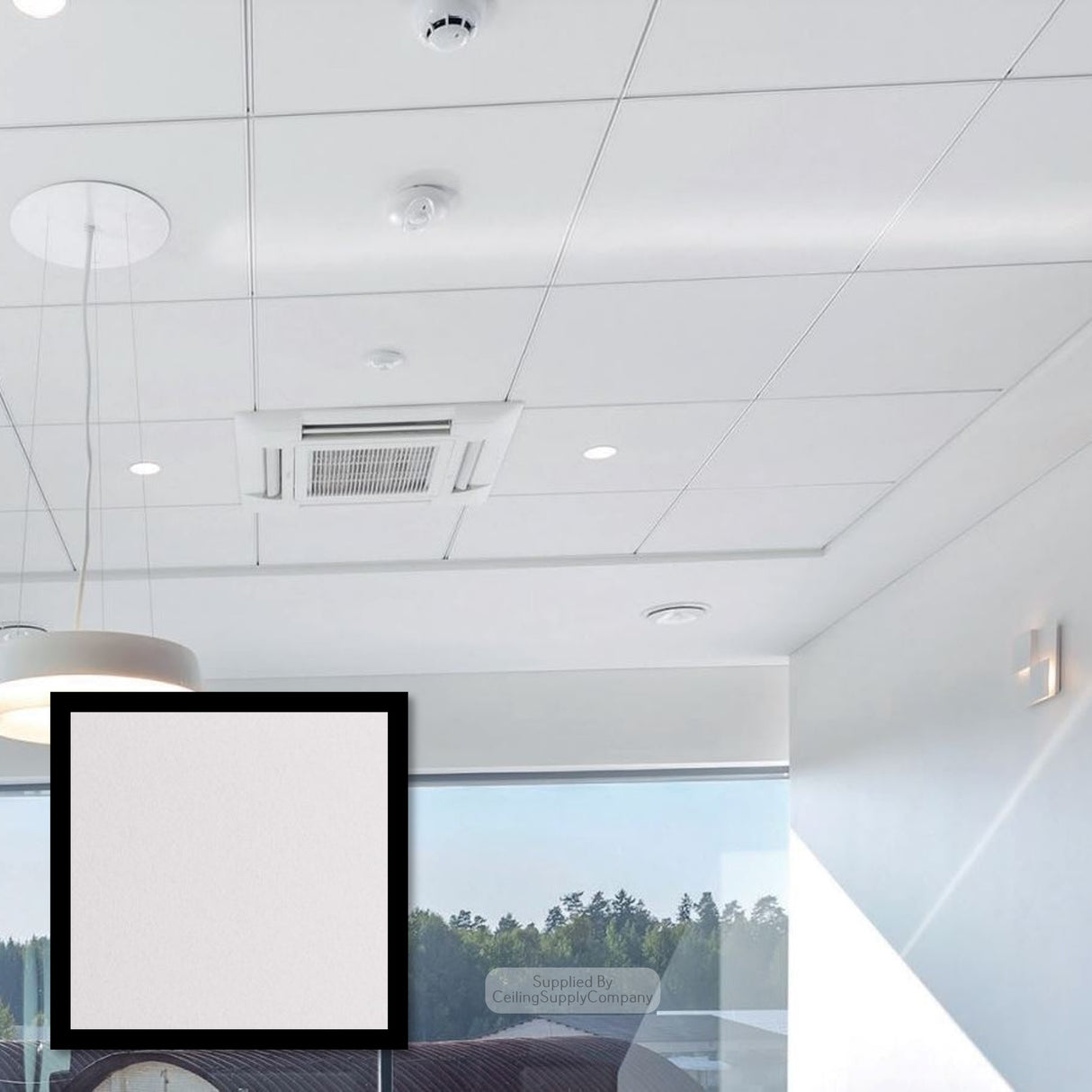 Zentia Perla DB Ceiling Tiles