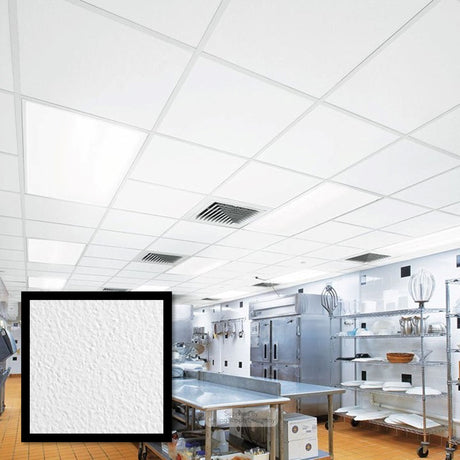 Zentia Plain Ceiling Tiles